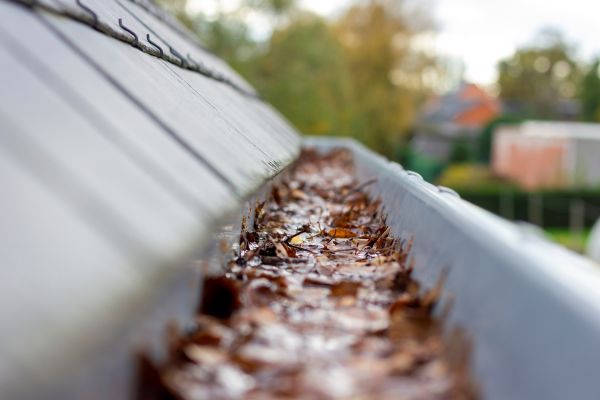Cost of Commercial Gutter Cleaning in Seneca