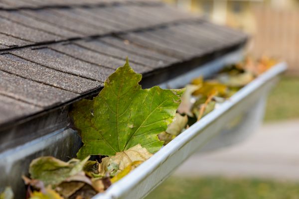 Cost of Gutter System Cleaning in Seneca
