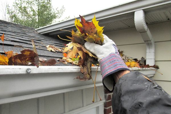 Cost of Gutter Blockage Removal in Seneca