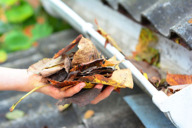 Leaf and Debris Removal