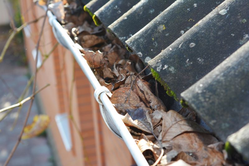 Gutter Debris