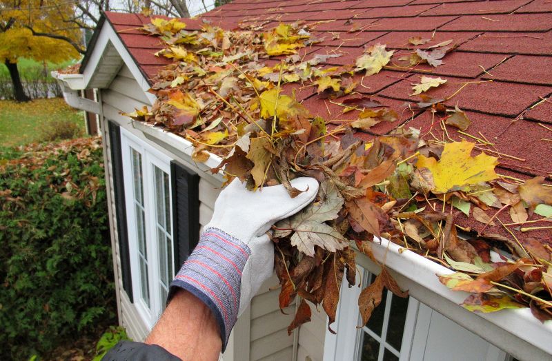 Spring Gutter Cleaning