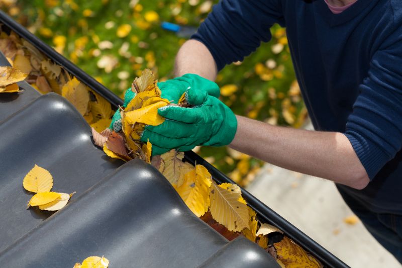 Gutter Leaf Clearing
